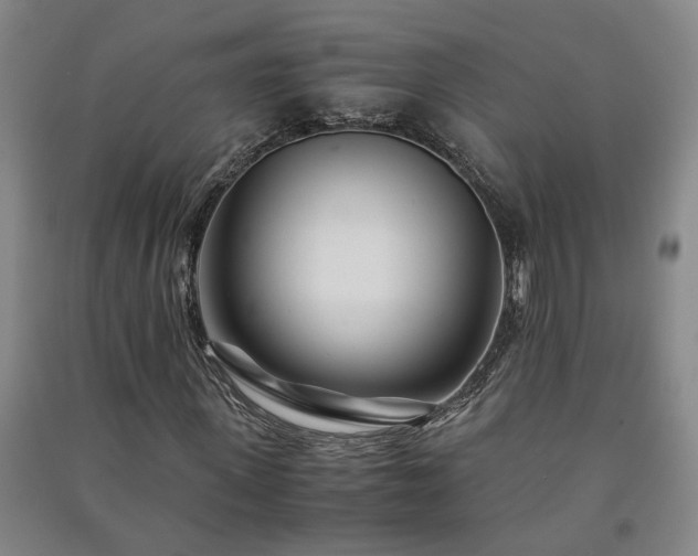 X0000091220915200708161653