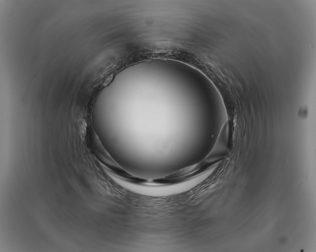 X0000091220916200708161653