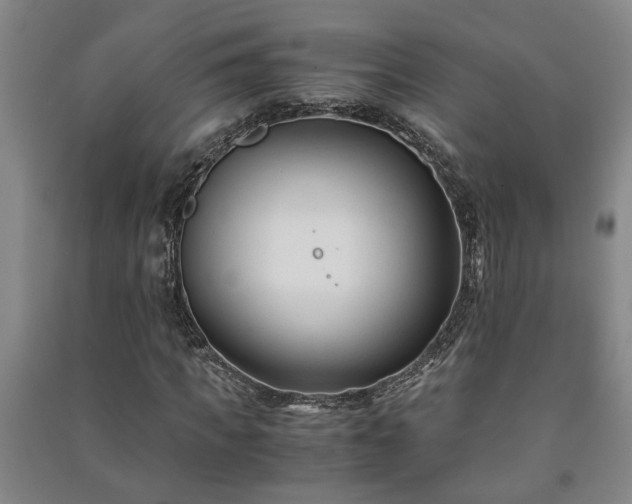 X0000091220917200708161653