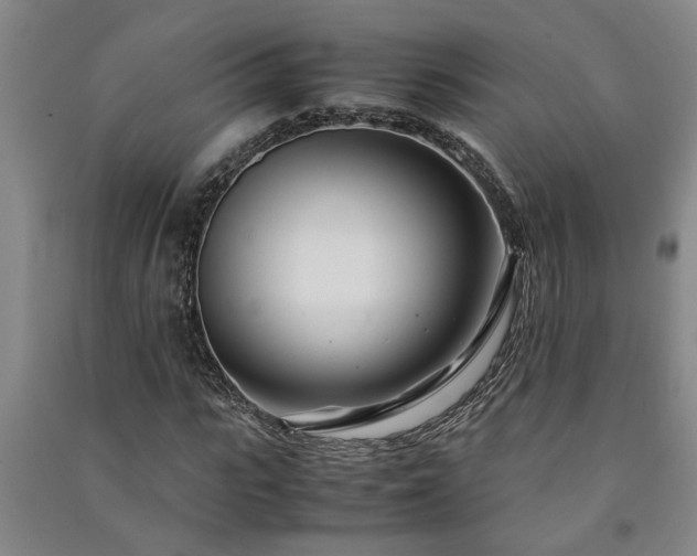 X0000091220919200708161653