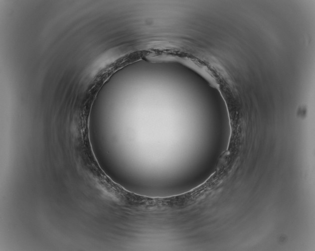 X0000091220920200708161653