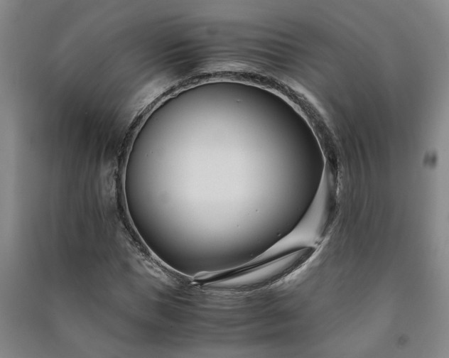 X0000091220921200708161653