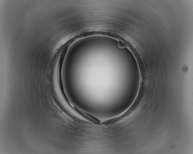 X0000091220922200708161653