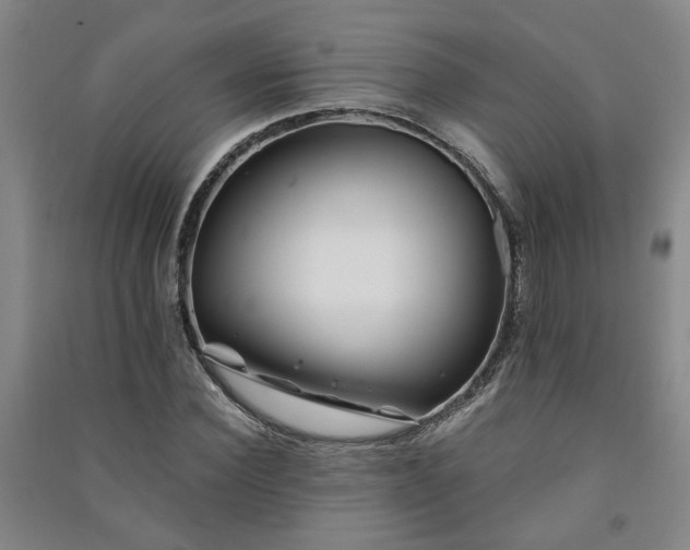 X0000091220924200708161653