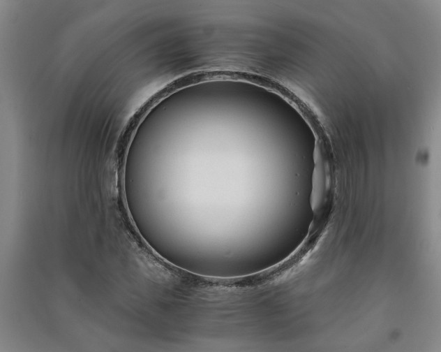 X0000091220925200708161653