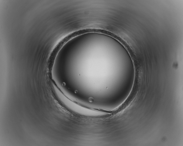 X0000091220926200708161653