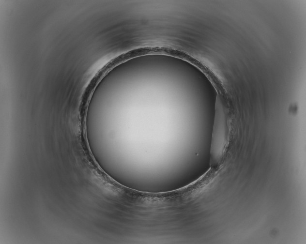 X0000091220927200708161653