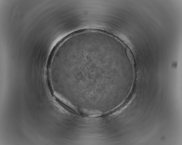 X0000091220928200708161653