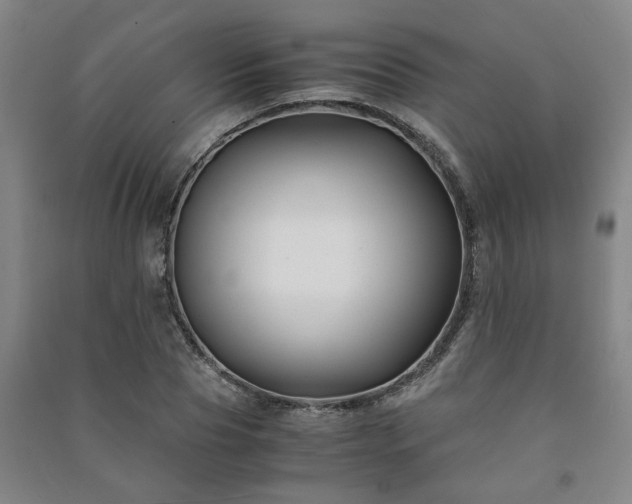 X0000091220929200708161653