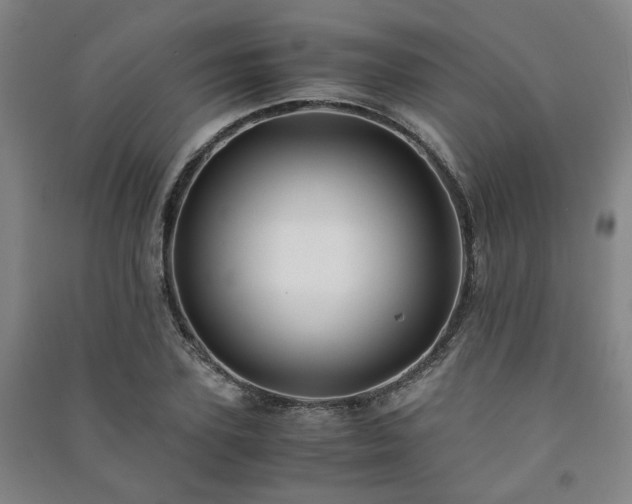 X0000091220931200708161653