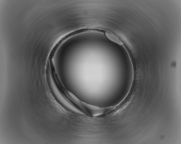 X0000091220932200708161653