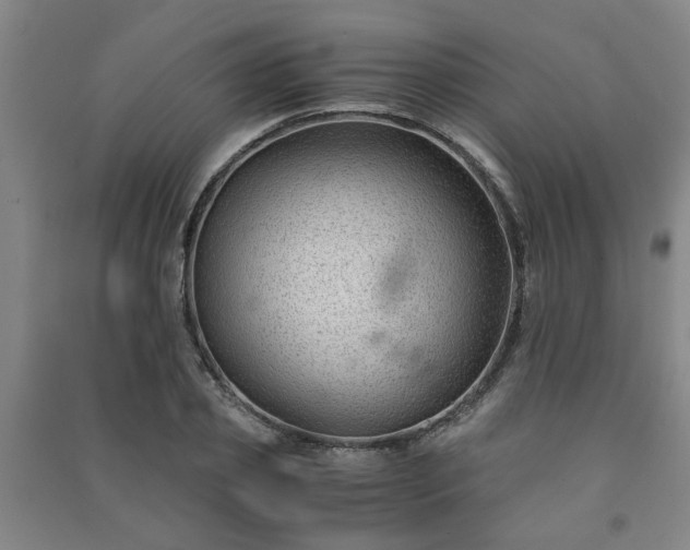 X0000091220933200708161653