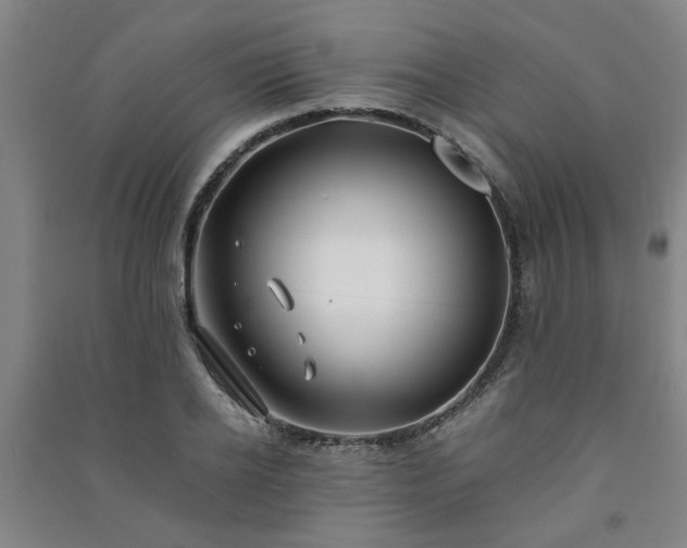 X0000091220934200708161653