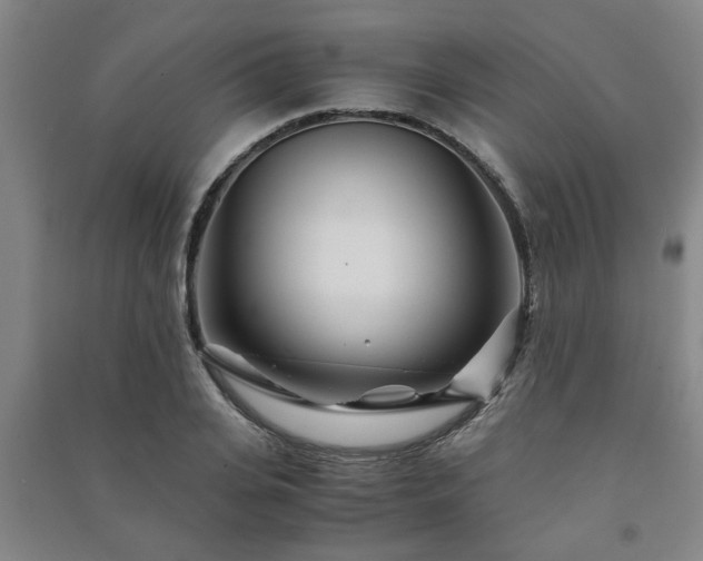 X0000091220935200708161653