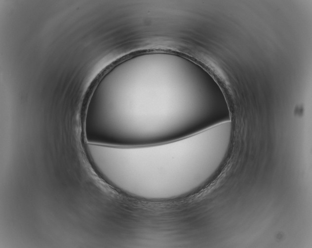 X0000091220936200708161653