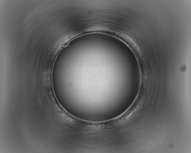 X0000091220937200708161653