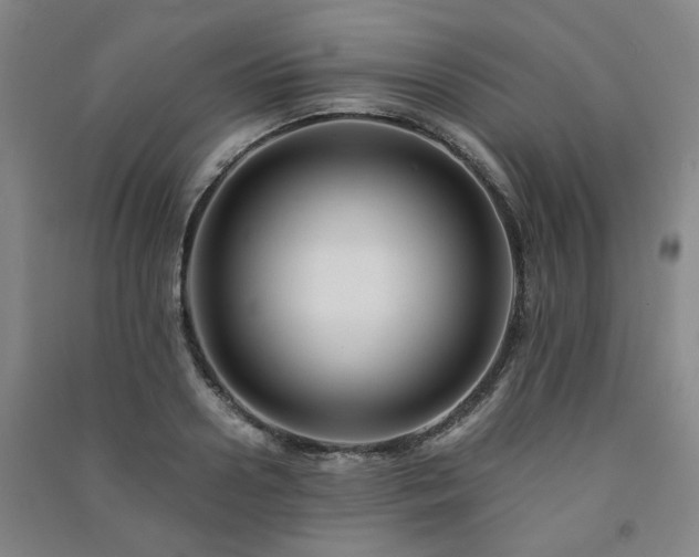 X0000091220938200708161653