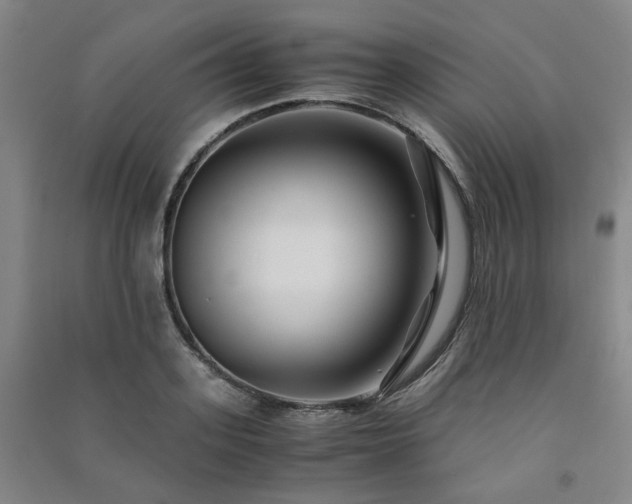 X0000091220939200708161653