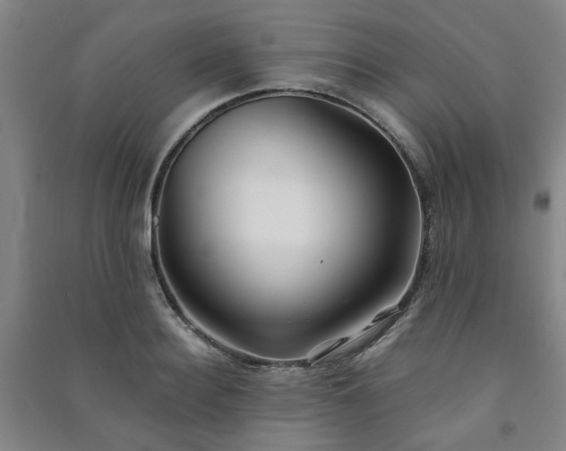 X0000091220940200708161653