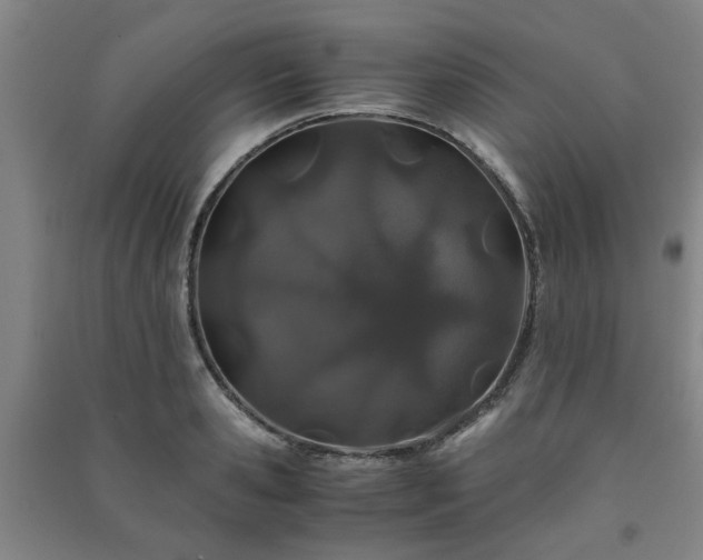 X0000091220941200708161653