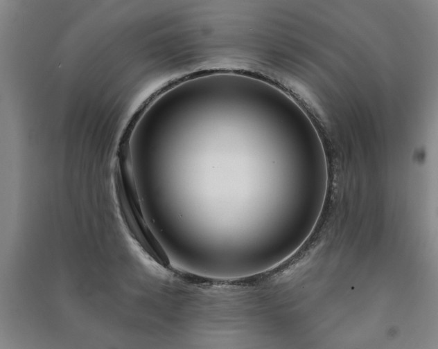 X0000091220942200708161654