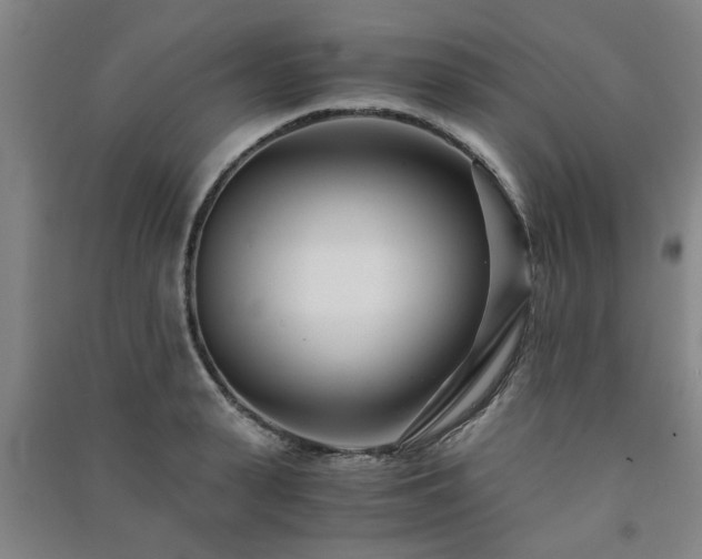 X0000091220943200708161654