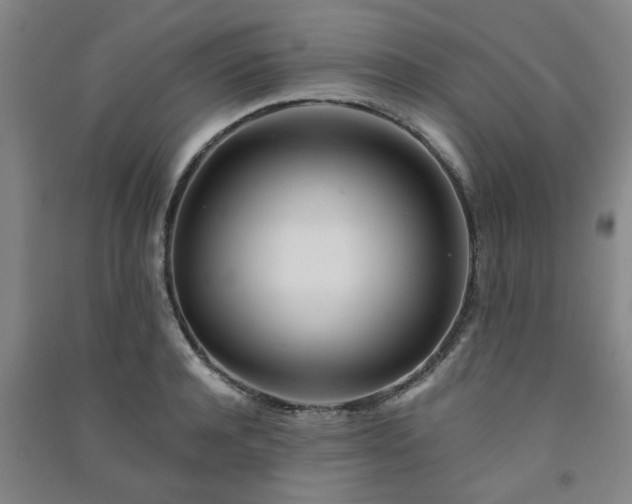 X0000091220944200708161654