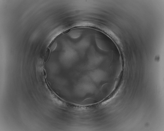 X0000091220945200708161654