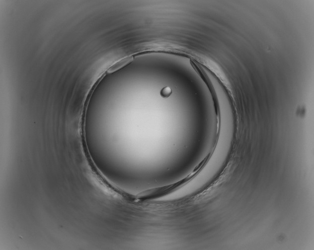 X0000091220946200708161654