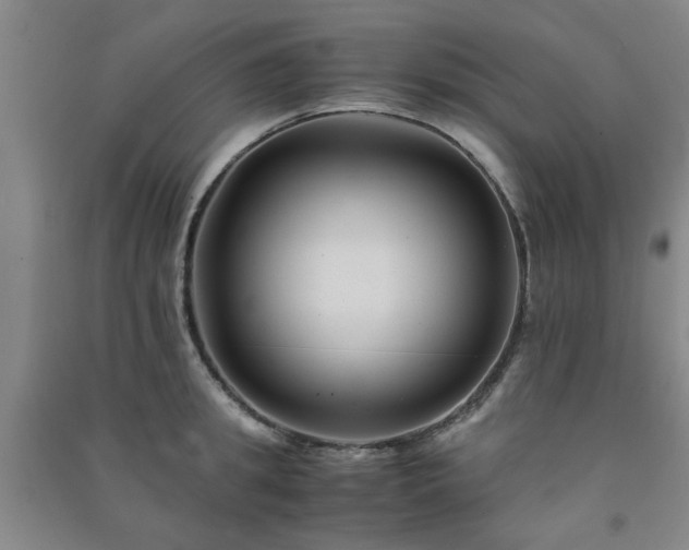 X0000091220949200708161654