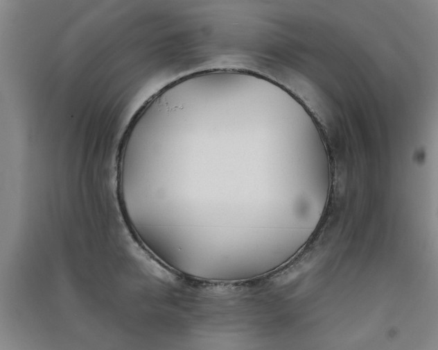 X0000091220950200708161654