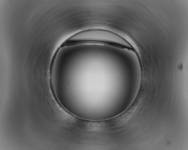 X0000091220951200708161654