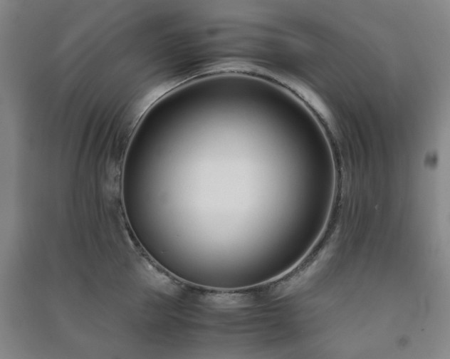 X0000091220953200708161654