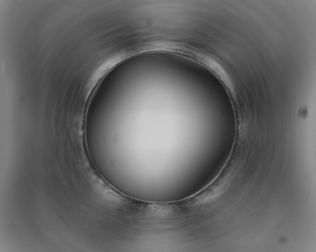 X0000091220954200708161654