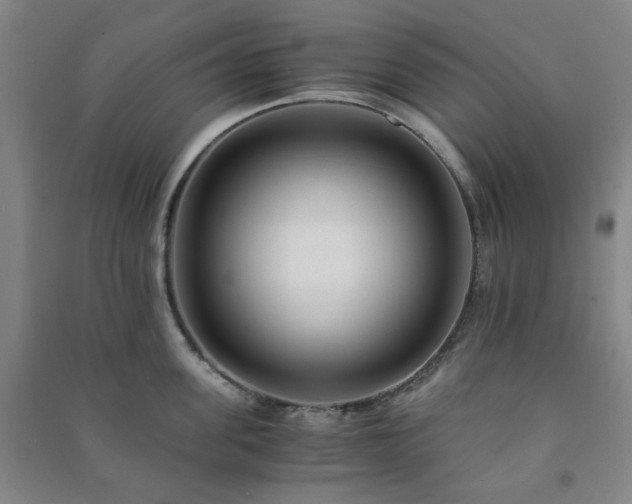 X0000091220955200708161654