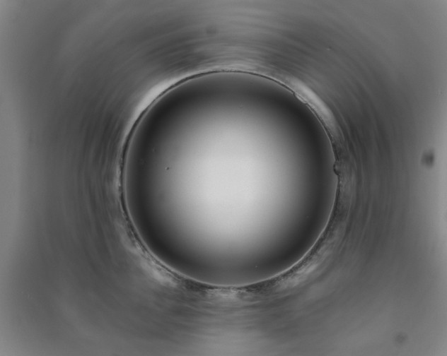 X0000091220956200708161654