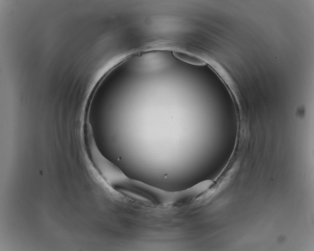 X0000091220957200708161654