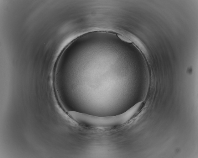 X0000091220958200708161654