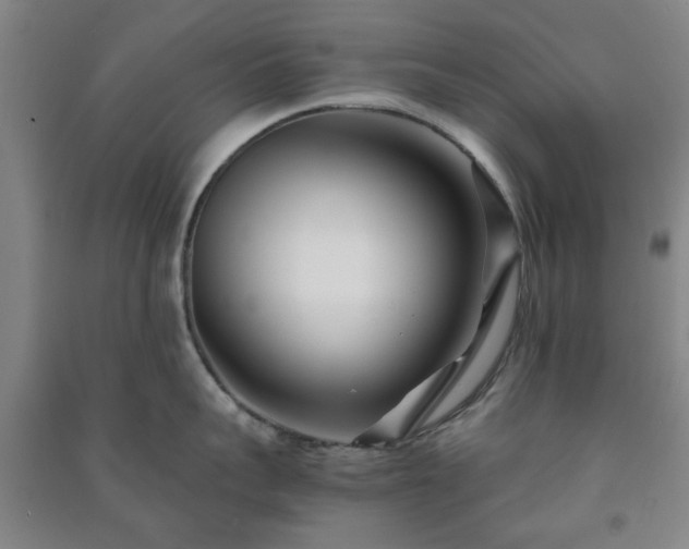 X0000091220959200708161654