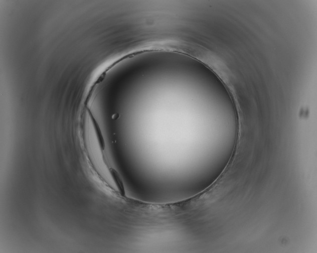 X0000091220960200708161654