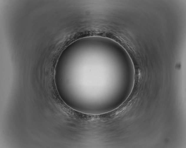 X0000091220961200708161653