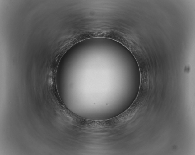 X0000091220962200708161653