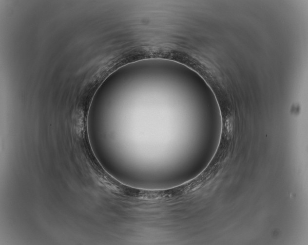 X0000091220963200708161653