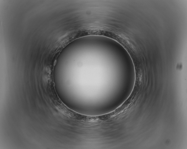 X0000091220964200708161653