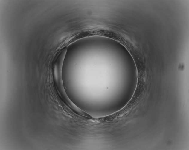 X0000091220965200708161653