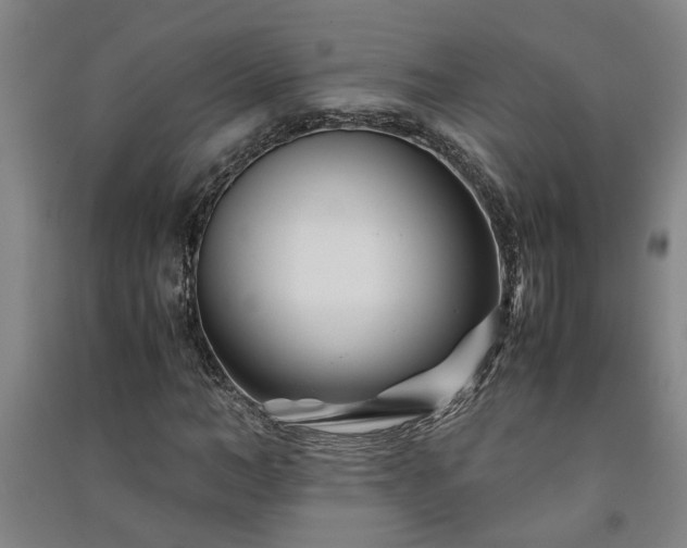 X0000091220966200708161653