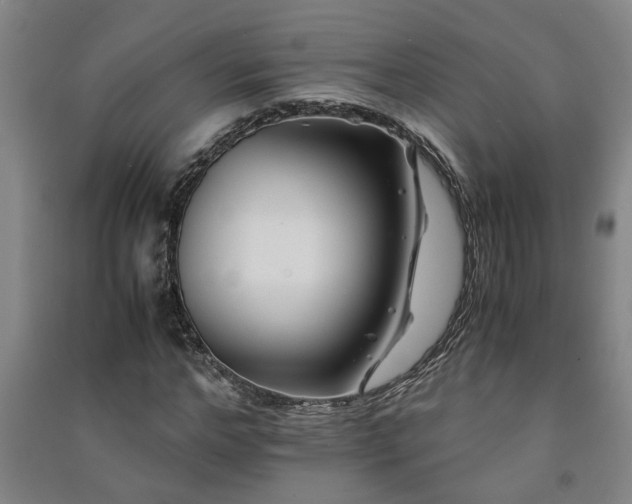 X0000091220968200708161653