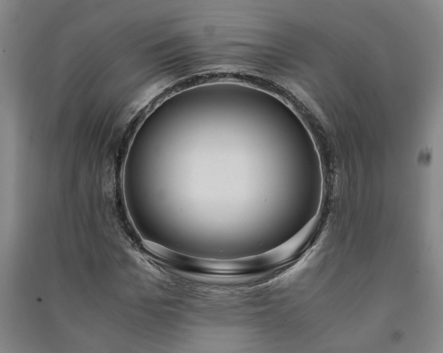 X0000091220969200708161653