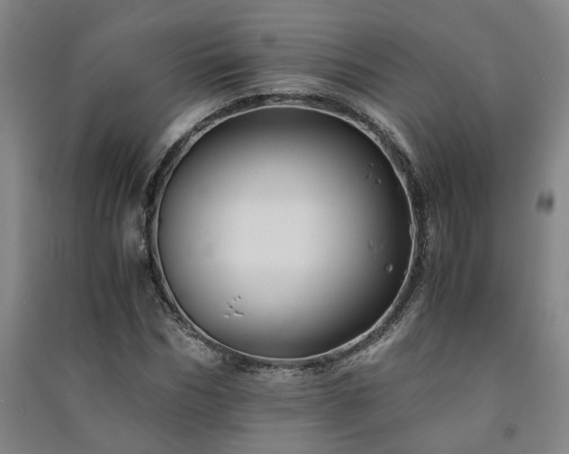 X0000091220970200708161653