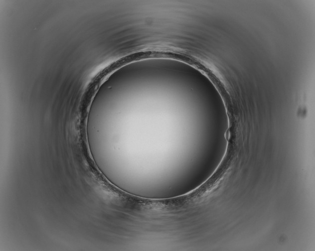 X0000091220971200708161653